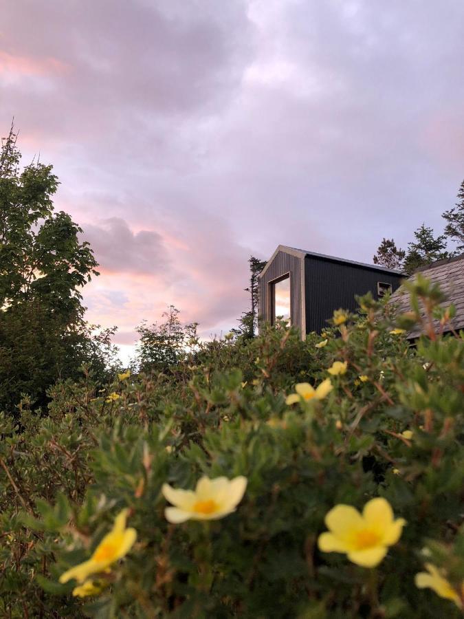 Tiny Home In Isle Of Skye-Pet Friendly Elgol Bagian luar foto
