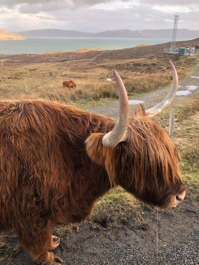 Tiny Home In Isle Of Skye-Pet Friendly Elgol Bagian luar foto